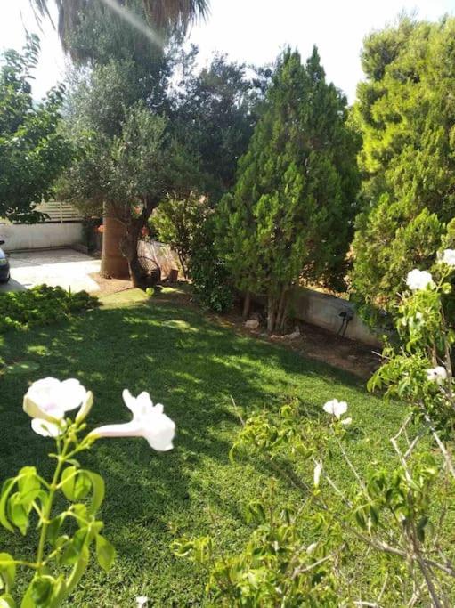 Cozy Villa Vita Lagonisi Kalivia Thorikou Ngoại thất bức ảnh