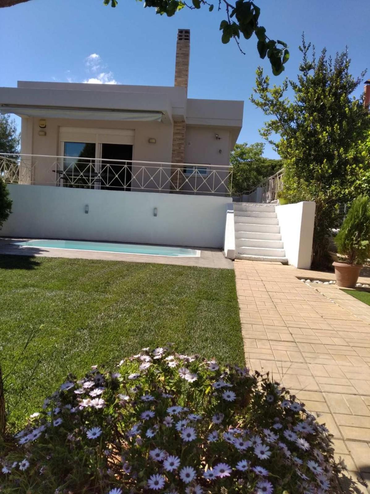 Cozy Villa Vita Lagonisi Kalivia Thorikou Ngoại thất bức ảnh